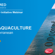 poster sustainable aquaculture webinar
