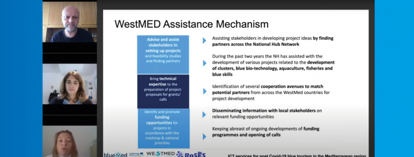 screenshot with participants and a presentation slide at tourism webinar