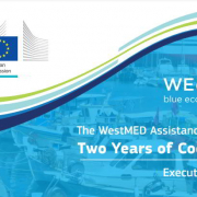 cover page westmed executive summary 2020