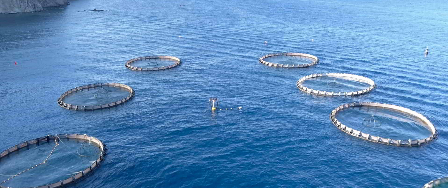 Aquaculture fish farm