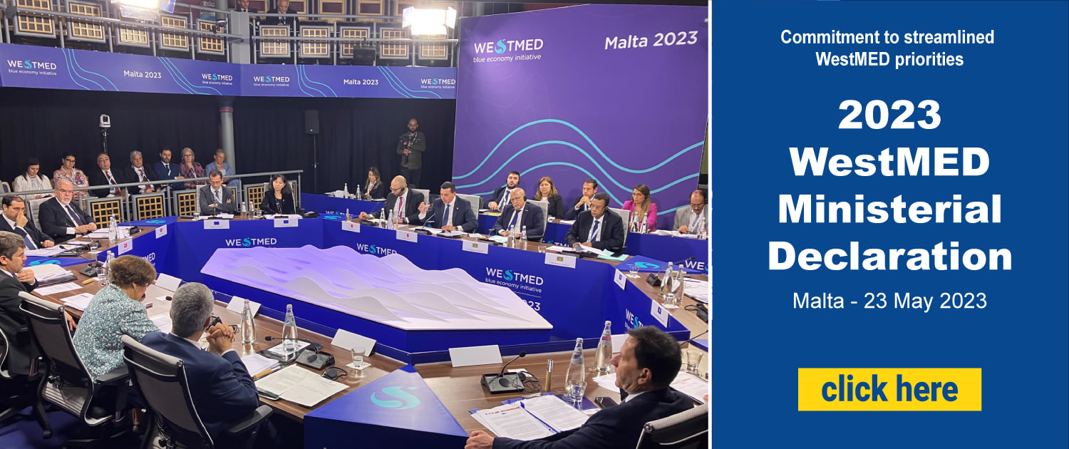 poster announcing the 2023 westmed Ministerial declaration article with people sitting at the table