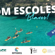 we are blue schools announcement poster with children on paddleboards in a bay