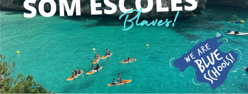 we are blue schools announcement poster with children on paddleboards in a bay