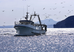 fishing boat-trawler with seagulls