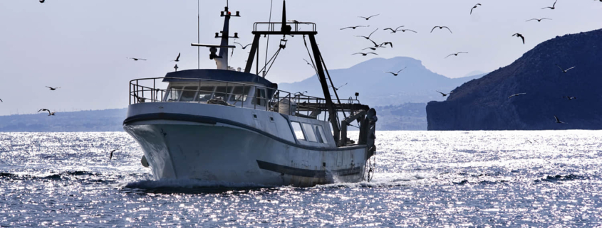fishing boat-trawler with seagulls