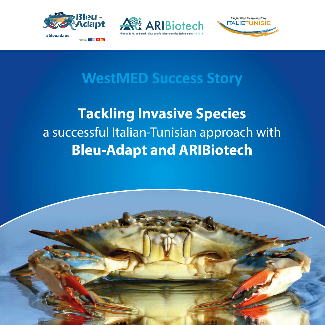 Success Story announcement with a blue  crab