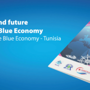 STRATEGIS Maritime ICT Cluster – A Catalyst for Regional Blue Growth