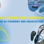 Energy Transition Partnership for Fisheries and Aquaculture poster