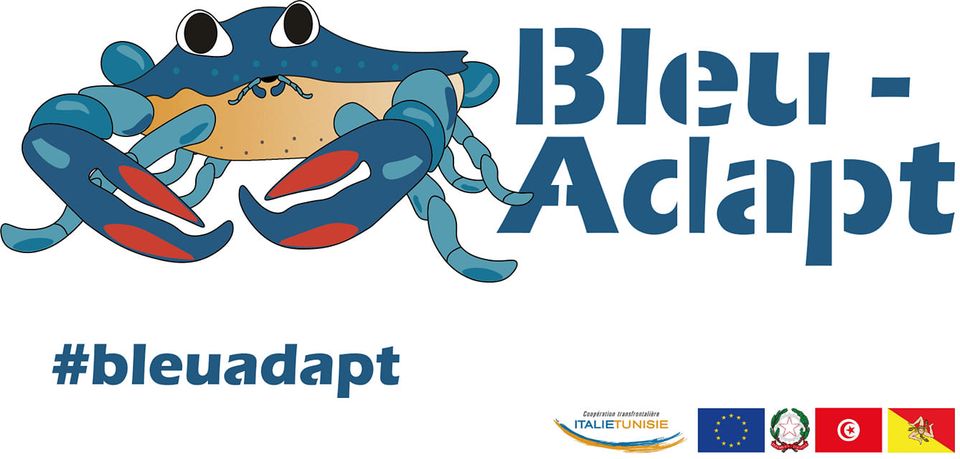 Logo bleu-adapt