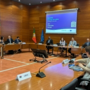 WestMED Steering Committee members sitting around a larfge conference table in Portugal, October 1, 2024