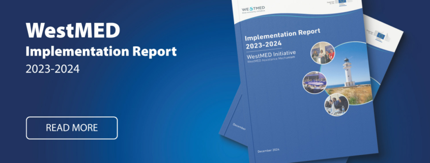 Poster image with mockup of implementation report