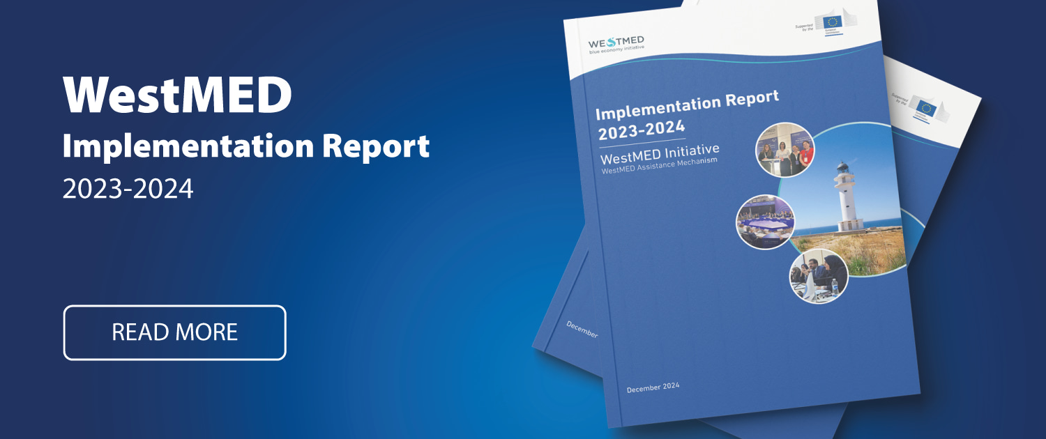 Poster image with mockup of implementation report