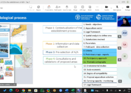 Overview of people in online training
(2025 GIS training organised by the GFCM and WestMED)
