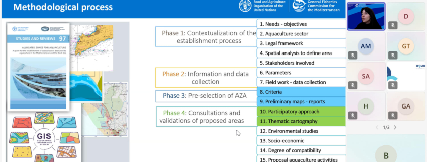 Overview of people in online training
(2025 GIS training organised by the GFCM and WestMED)