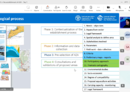 Overview of people in online training (2025 GIS training organised by the GFCM and WestMED)