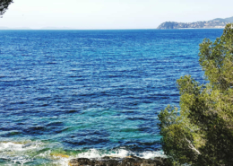 scenic sea view