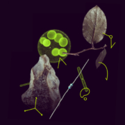 MSCA call announceent image