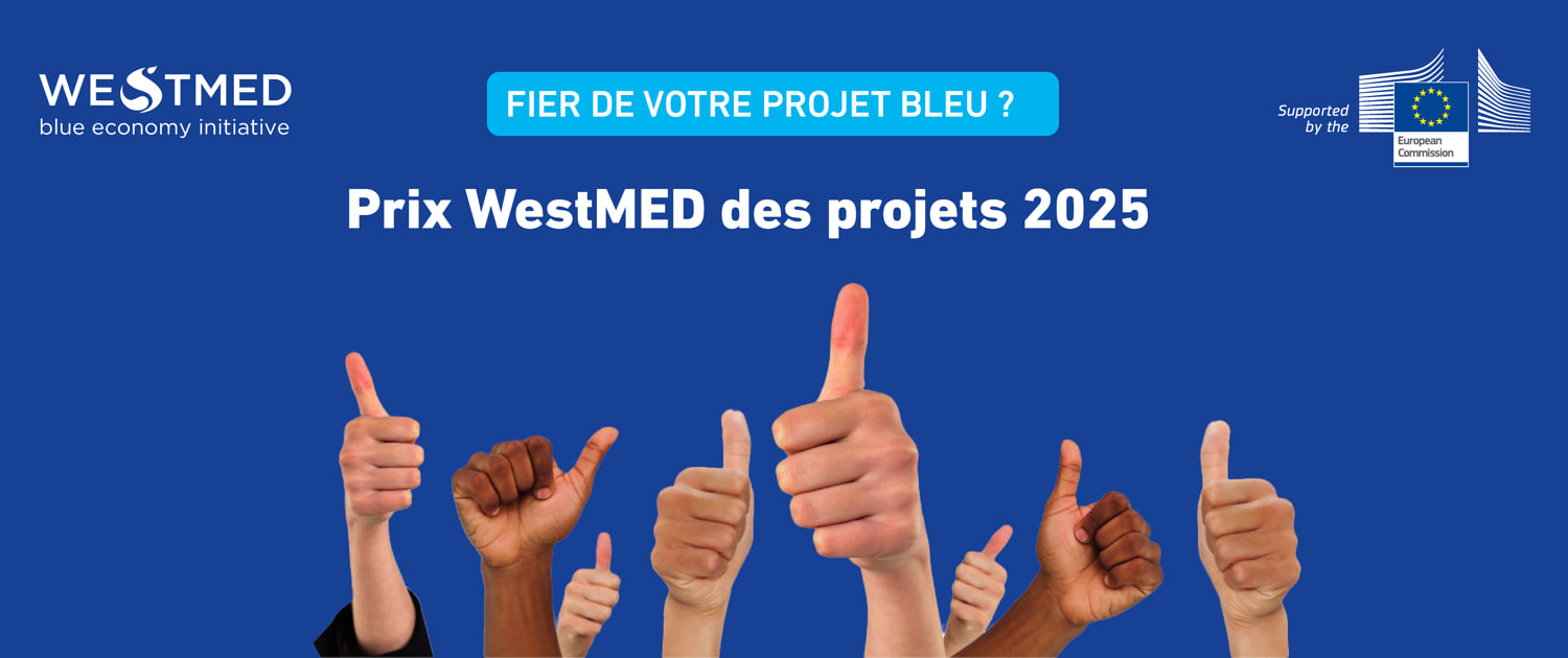 WestMEd project awards announcement poster with multiple thumbs up hands