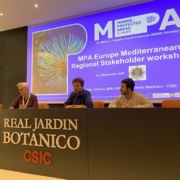 3 people sitting at elevated desk chairing the conference presenting
