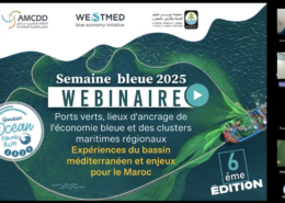 screenshot of webinar
