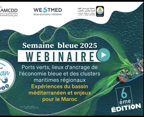 screenshot of webinar