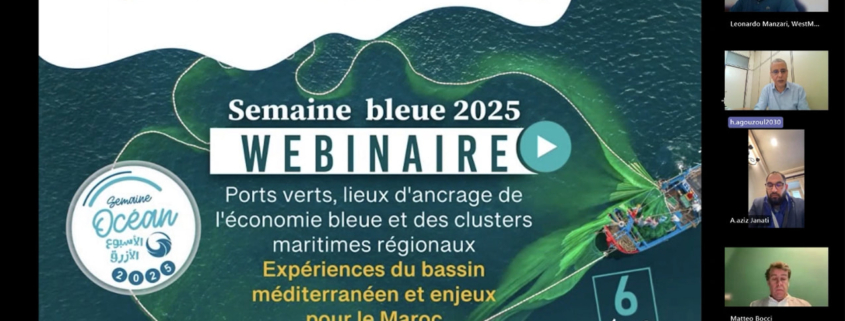 screenshot of webinar