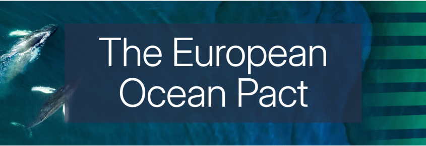 Ocean Pact announcement poster with text on top of photo with two whales swimming in water