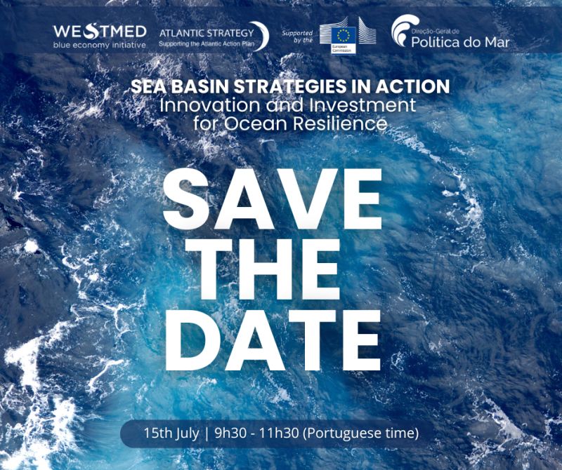 save the date webinar announcement poster