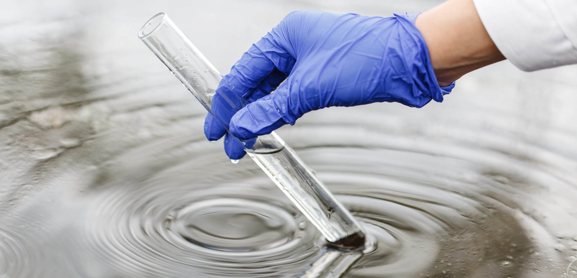 researcher holds test tube with water hand blue glove